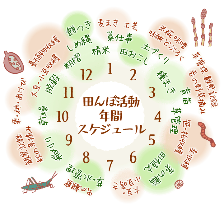田んぼ活動の年間スケジュール